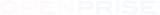openrise company logo